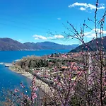 Azzurro Daire