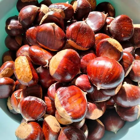 Appartement Azzurro *