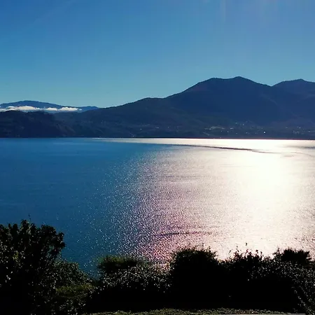 Azzurro * קנוביו