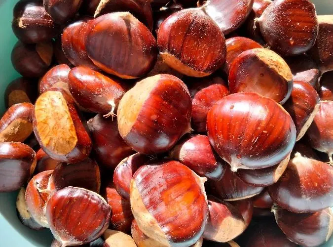 Apartamento Azzurro *